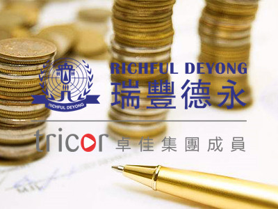 德國(guó)公司年審