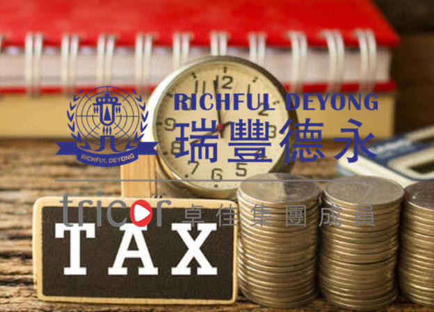 德國(guó)公司報(bào)稅